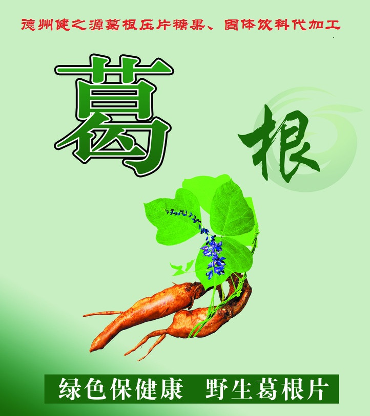 葛根，男女通用的人體調(diào)理專家