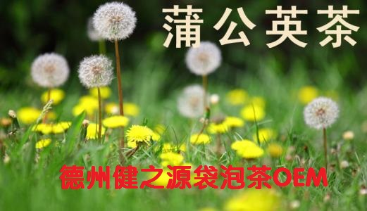 蒲公英茶，今天您喝了嗎？