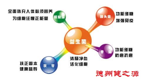 夏天腸胃問題頻發(fā)，您應該用益生菌了